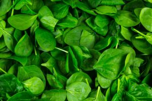 prebiotics gut health positivity